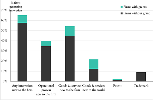 Percentage Firms Generating Innovation Graph